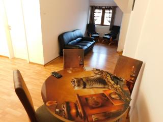 Diane's Apartament - Sibiu - 1