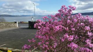 Douglas Park Guest House - 6