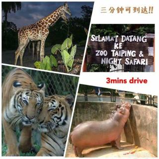 Taiping Vacation Home - Taiping - 9