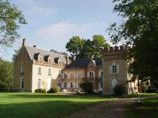 Hostellerie Du Château Les Muids - La Ferté-Saint-Aubin - 0