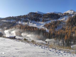 LES CHATAIGNIERS GRIS - 7