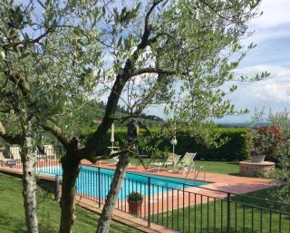 Agriturismo Borgo tra gli Olivi - Castiglion Fiorentino - 8