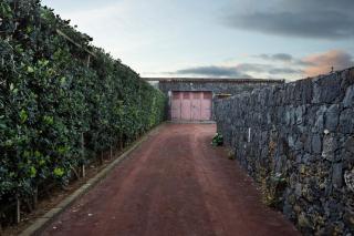 Home Sweet Home - Ribeira Grande - 5