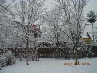 Vila Mihaela - Breaza - 9