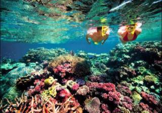 Bondi Backpackers Nhatrang - Nha Trang - 9