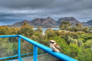 Blue Gum Retreat - 7