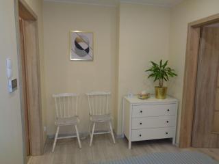 Apartament Szczawno-Zdrój -Wałbrzych - Wałbrzych - 4