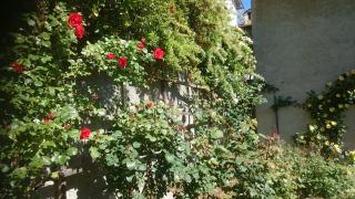 B&B Barbaia - Levice - 9