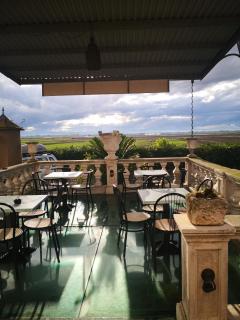 Hotel Ficocle - Cervia - 9