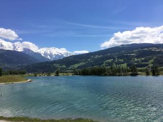Fizhome Mt Blanc - Passy - 5