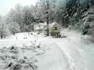 Mountain Valley Retreat - Killington - 4