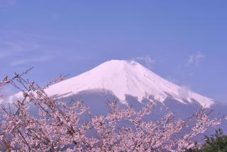 Hotel Mt. Fuji - Yamanakako - 6