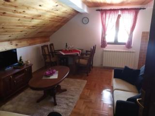 Apartments Radingturs - Žabljak - 2