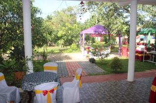 Miheen Hotel & Resort - Anuradhapura - Mihintale - 4