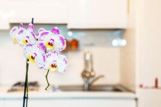 Venice downtown - Venecia - 1