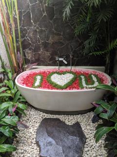 Anusara Luxury Villas - Ubud - 3
