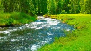 Ranges View Lodge - Aberdare Safari in Murang'a - 4