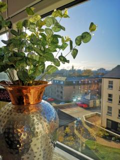 Mycosy At The Ocean - 4