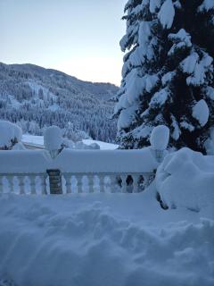 Naturkräuterhaus Eder - 7