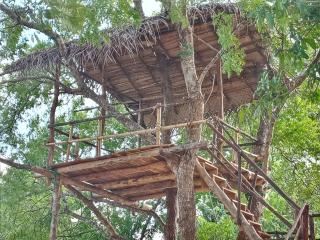 Muwan Palassa Resort - Minneriya - 7