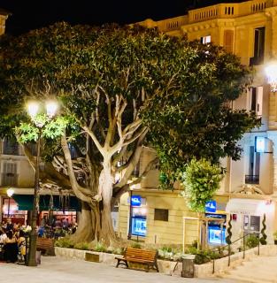 Hotel Select - Beaulieu-sur-Mer - 8