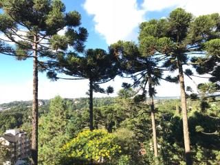 Apartamento Orsi - Gramado - 3