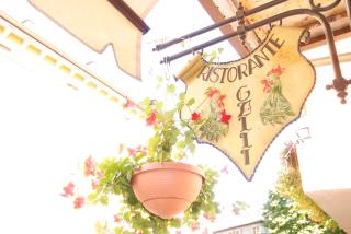 Albergo Ristorante Galli - Pievepelago - 4