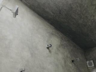 drongo place - 7