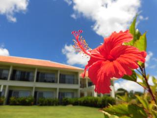 SAKURA Resort Hotel Ishigaki - 9