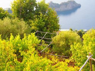 GIARDINO SUL MARE - Amalfi - 8