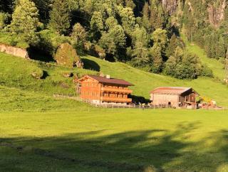 Landhaus Schiestl - Mayrhofen - 7