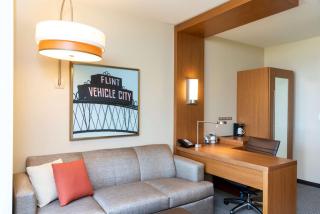 Hyatt Place Flint/Grand Blanc - Flint - 6
