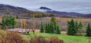 CZERENINA Wetlina 108 - 1