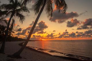 Four Flowers Guesthouse - Key West - 6
