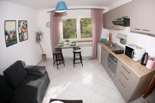Apartment Magnolija - free parking - Karlovac - 4