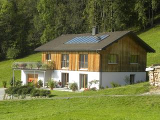 Bizau 361 - Bizau - 3