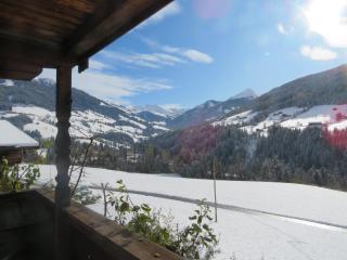 Haus Moosbrunn - Alpbach - 4