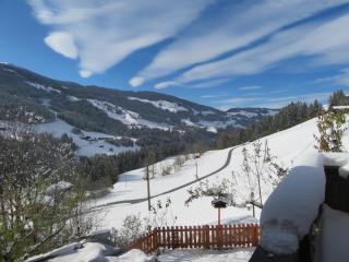 Haus Moosbrunn - Alpbach - 5