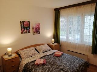 APARTMAN NENA - Karlovac - 6