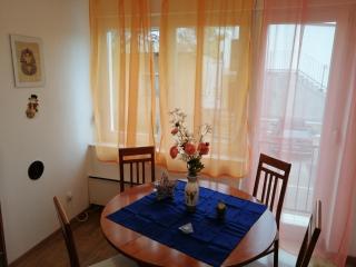APARTMAN NENA - Karlovac - 7