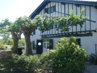 Domaine de Bassilour - Bidart - 1