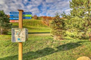 Wintergreen 218 - Blue Mountains - 4