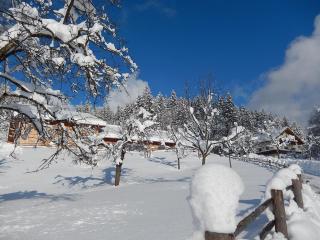 Biobauernhof Poidlbauer - 8