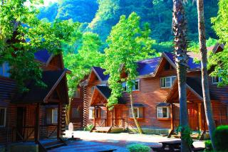 Master Bear Resort - Jiafeng - 9