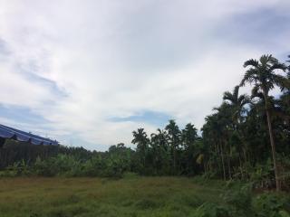 IBBANI Homestay, Siddapur - Siddāpur - 2