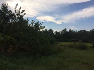 IBBANI Homestay, Siddapur - 3