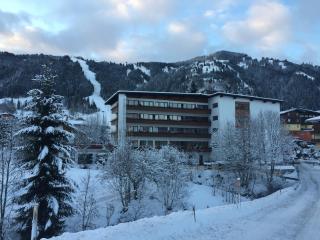 Sonnenalp Mountainview - Niederau - 9