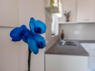 Apartment Antonio - 4