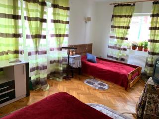 Old Town Petcu`s House - Braşov - 7