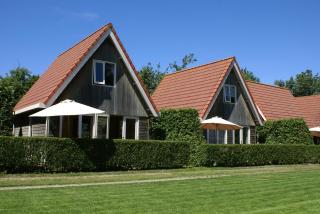 Eureka Vakantiehuisjes - Schoorl - 0